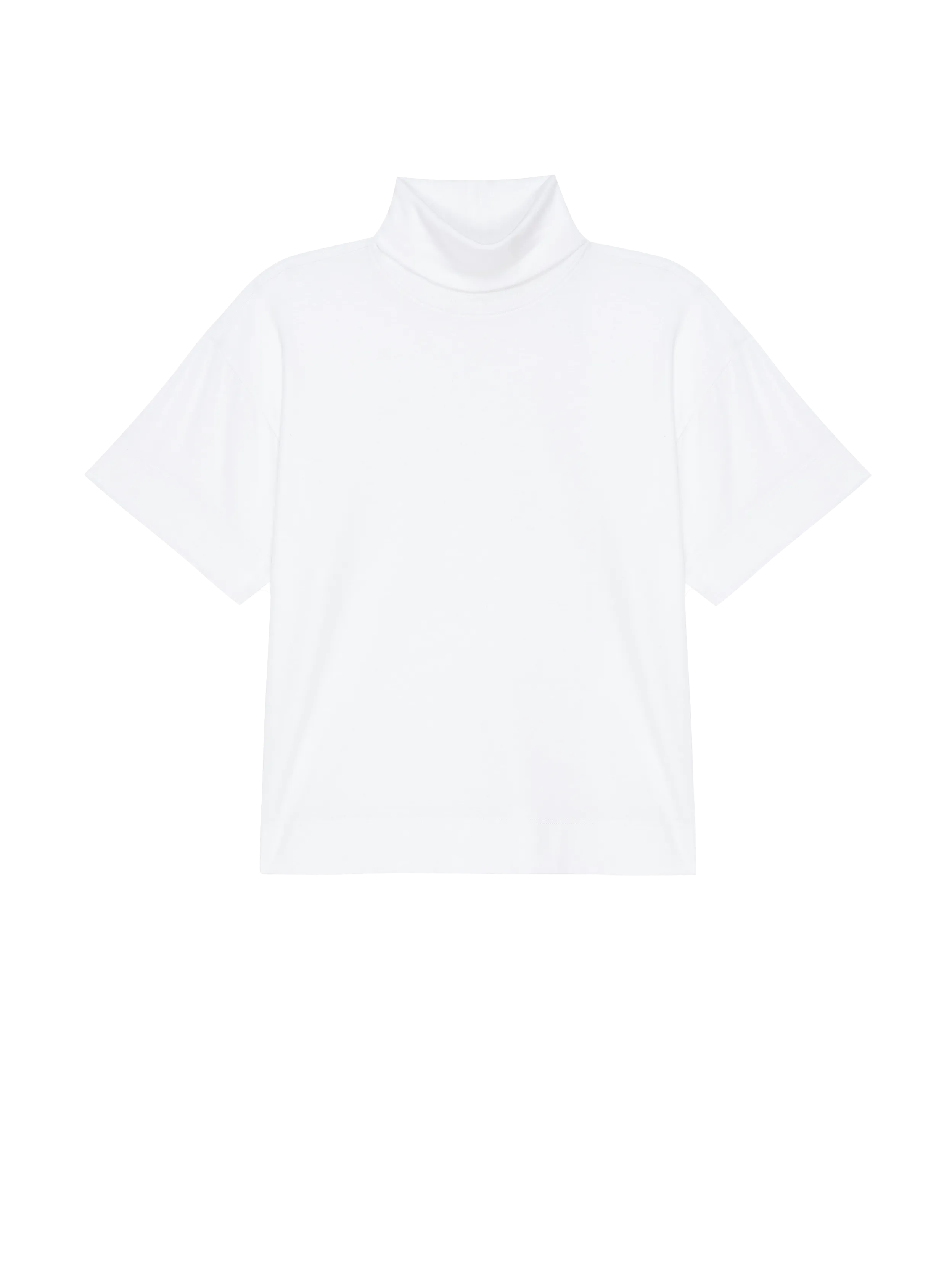 Fable Turtleneck